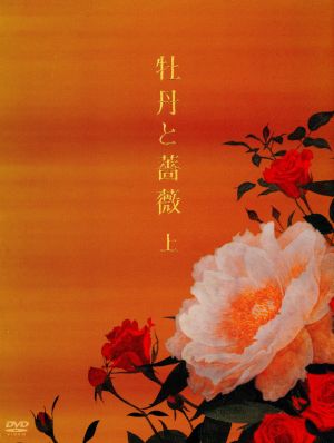 牡丹と薔薇 ｄｖｄ ｂｏｘ 上 中古dvd 大河内奈々子 小沢真珠 神保悟志 北原佐和子 川上麻衣子 新藤恵美 中島丈博 脚本 中川幸太郎 音楽 ブックオフオンライン