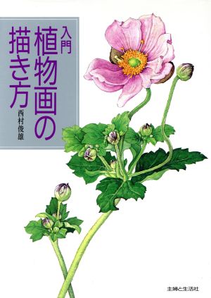 入門 植物画の描き方 中古本 書籍 西村俊雄 著 ブックオフオンライン