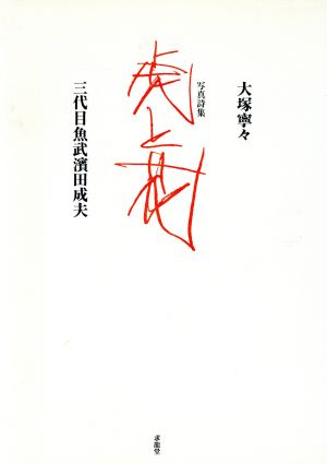 虎と花写真詩集 中古本 書籍 大塚寧々 著者 三代目魚武濱田成夫 著者 ブックオフオンライン