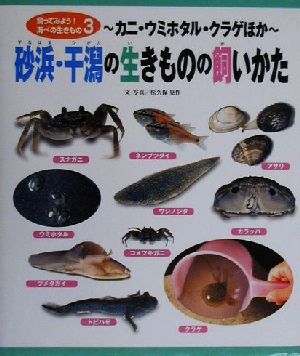 砂浜 干潟の生きものの飼いかたカニ ウミホタル クラゲほか 中古本 書籍 松久保晃作 ブックオフオンライン