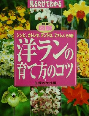 見るだけでわかる最新図解洋ランの育て方のコツシンビ カトレヤ デンドロ ファレノ その他 中古本 書籍 主婦の友社 編者 ブックオフオンライン