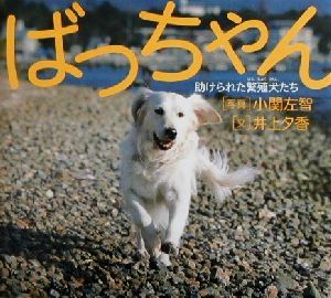 ばっちゃん助けられた繁殖犬たち 新品本 書籍 井上夕香 著者 小関左智 ブックオフオンライン