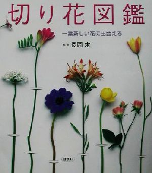 切り花図鑑一番新しい花に出会える 中古本 書籍 長岡求 その他 ブックオフオンライン