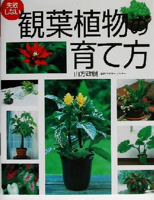 失敗しない観葉植物の育て方 中古本 書籍 山方政樹 著者 ブックオフオンライン