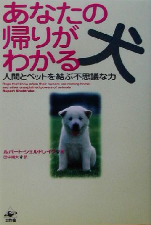 あなたの帰りがわかる犬人間とペットを結ぶ不思議な力 中古本 書籍 ルパートシェルドレイク 著者 田中靖夫 訳者 ブックオフオンライン