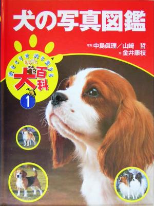 犬の写真図鑑 中古本 書籍 金井康枝 著者 中島真理 その他 山崎哲 その他 ブックオフオンライン