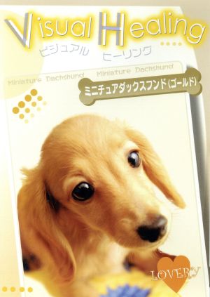 ビジュアル ヒーリング ８ ミニチュアダックスフンド ゴールド 中古dvd ヒーリング ブックオフオンライン