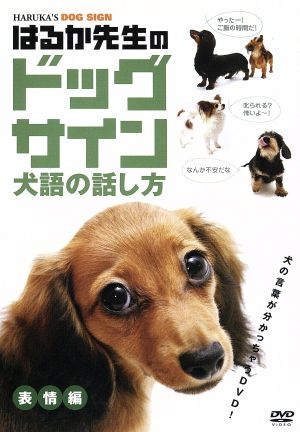 はるか先生のドッグサイン 犬語の話し方 ｖｏｌ １ 表情編 中古dvd 高倉はるか 監修 ブックオフオンライン