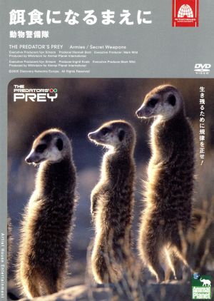アニマル プラネット 餌食になるまえに 動物警備隊 中古dvd 趣味 教養 ブックオフオンライン
