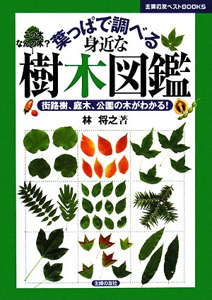 葉っぱで調べる身近な樹木図鑑街路樹 庭木 公園の木がわかる 中古本 書籍 林将之 著 ブックオフオンライン