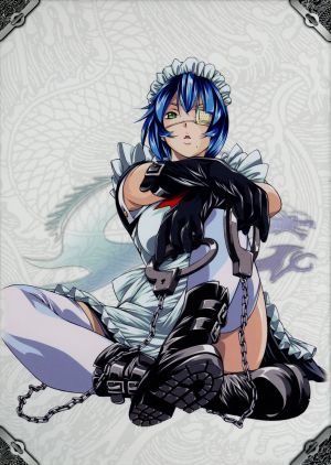 一騎当千ｇｒｅａｔ ｇｕａｒｄｉａｎｓ 第壱巻 中古dvd 塩崎雄二 原作 浅野真澄 孫策伯符 甲斐田裕子 呂蒙子明 りんしん キャラクターデザイン 総作画監督 高梨康治 音楽 ブックオフオンライン