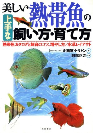 美しい熱帯魚の上手な飼い方 育て方熱帯魚カタログと飼育のコツ 増やし方 水草レイアウト 中古本 書籍 企画室 トリトン 著者 阿部正之 ブックオフオンライン