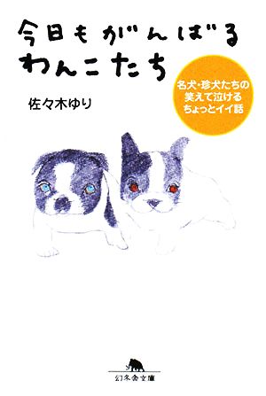 今日もがんばるわんこたち名犬 珍犬たちの笑えて泣けるちょっとイイ話 中古本 書籍 佐々木ゆり 著 ブックオフオンライン