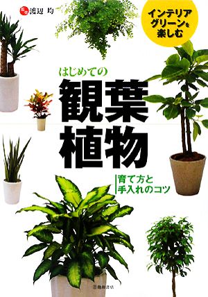 はじめての観葉植物インテリアグリーンを楽しむ 育て方と手入れのコツ 中古本 書籍 渡辺均 監修 ブックオフオンライン