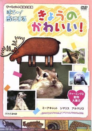 ｎｈｋ ｄｖｄ ダーウィンの動物大図鑑 はろ あにまる きょうのかわいい チャーミングな動物大 集合 ミーアキャット シマリス アルマジロ 中古dvd キッズ 野川さくら 水樹奈々 福山潤 ブックオフオンライン