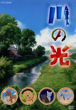 川の光 中古dvd アニメ 松浦寿輝 原作 折笠富美子 タータ 金田朋子 チッチ 山寺宏一 お父さん 丹内司 キャラクターデザイン 栗原正己 音楽 ブックオフオンライン