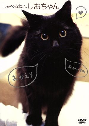 しゃべるねこ しおちゃん 新品dvd ドキュメント バラエティ 趣味 教養 ブックオフオンライン