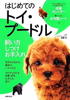 はじめてのトイ プードル飼い方 しつけ お手入れ 中古本 書籍 加藤元 監修 ブックオフオンライン