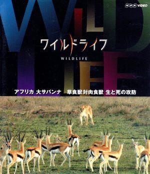 ワイルドライフ アフリカ大サバンナ 草食獣対肉食獣 生と死の攻防 ｂｌｕ ｒａｙ ｄｉｓｃ 中古dvd ドキュメンタリー 中村幸代 音楽 ブックオフオンライン