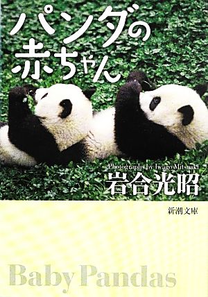 写真集 パンダの赤ちゃん 中古本 書籍 岩合光昭 著 ブックオフオンライン