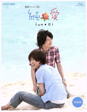 連続テレビ小説 純と愛総集編 ｂｌｕ ｒａｙ ｄｉｓｃ 中古dvd 夏菜 風間俊介 武田鉄矢 荻野清子 音楽 ブックオフオンライン
