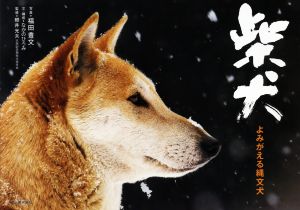 写真集 柴犬よみがえる縄文犬 中古本 書籍 なかのひろみ 著者 福田豊文 その他 照井光夫 その他 ブックオフオンライン