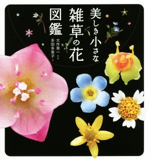 美しき小さな雑草の花図鑑 中古本 書籍 多田多恵子 著者 大作晃一 ブックオフオンライン