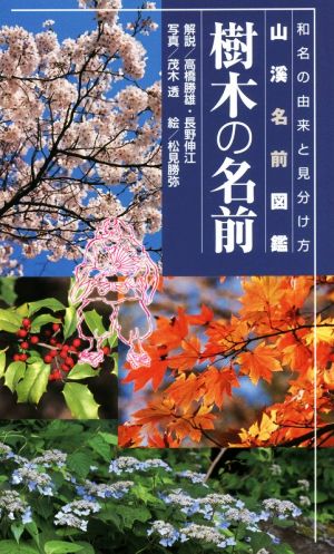 樹木の名前和名の由来と見分け方 中古本 書籍 高橋勝雄 長野伸江 茂木透 松見勝弥 石井誠治 ブックオフオンライン