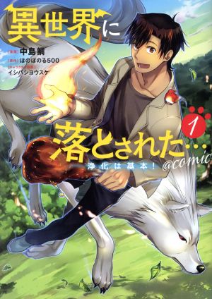 異世界に落とされた 浄化は基本 ｃｏｍｉｃ １ 中古漫画 まんが コミック 中島鯛 著者 ほのぼの る５００ 原作 イシバシヨウスケ キャラクター原案 ブックオフオンライン