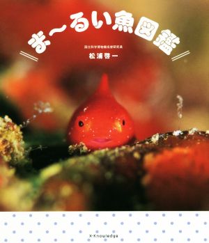 ま るい魚図鑑 中古本 書籍 松浦啓一 著者 ブックオフオンライン