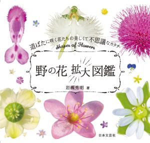 野の花拡大図鑑道ばたに咲く花たちの美しくて不思議なカタチ 新品本 書籍 岩槻秀明 著者 ブックオフオンライン